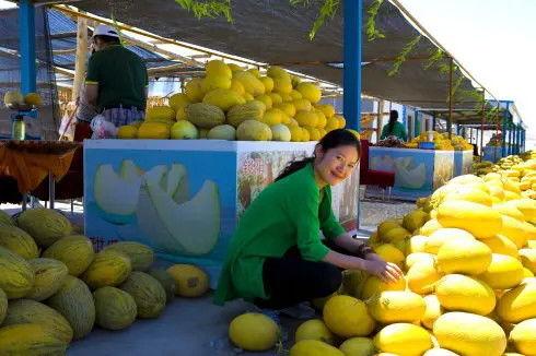 甘肃监控吃瓜,网络舆论场中的社会观察