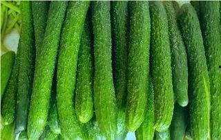 在洛阳吃瓜,探寻古都美食新风尚