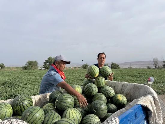 汾阳吃瓜事件是什么,一场引发热议的网络风波揭秘