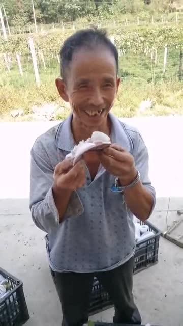 请叫我大叔吃瓜,揭秘娱乐圈的瓜田秘闻