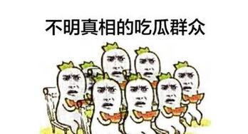 吃瓜群众全集观看,揭秘娱乐圈幕后真相