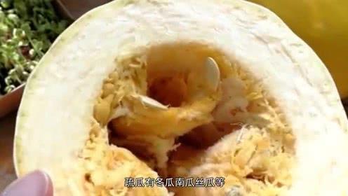 吃拉丝的瓜视频,揭秘吃拉丝瓜的绝妙体验