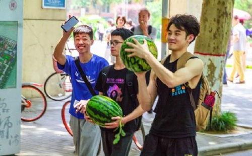 吃瓜学院3,揭秘娱乐圈背后的秘密与真相