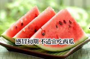 吃瓜治感冒,轻松治愈感冒的神奇方法