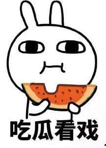 吃瓜误解结局,结局反转惊人揭秘！