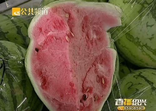 绍兴吃瓜的视频,一场视觉与味蕾的双重盛宴