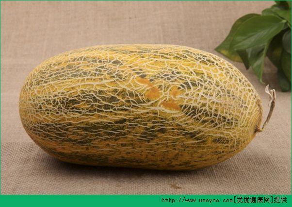 宠物牛吃哈密瓜,宠物牛的夏日美味探索