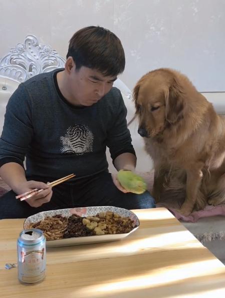 主人吃瓜视频,跟随主人视角，畅游娱乐圈风云录