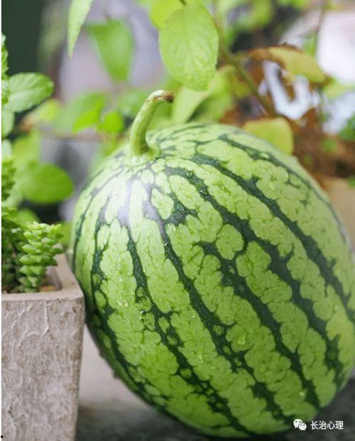 时代吃瓜,见证社会百态