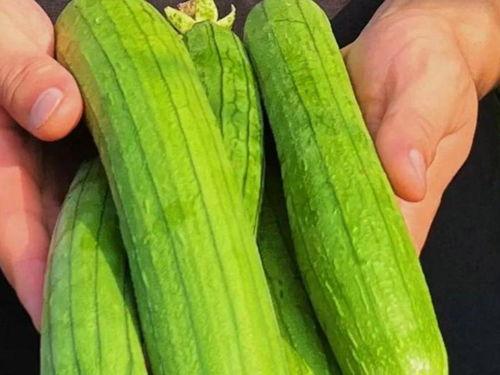 常吃三瓜,健康生活新选择