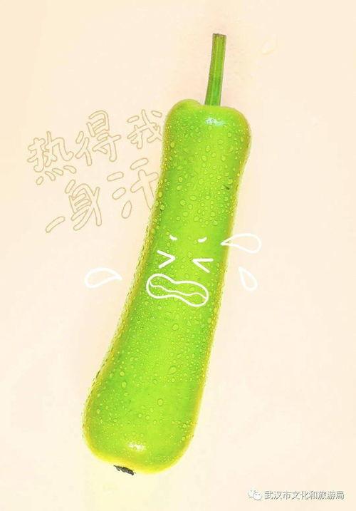 武汉直播吃瓜,一场别开生面的网络盛宴