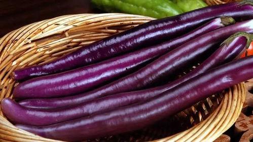 吃瓜和茄子,探寻生活中的趣味与智慧