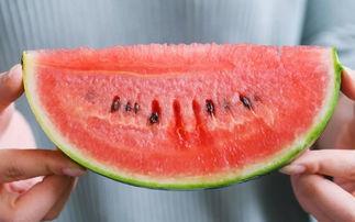 吃瓜日常和日常吃瓜