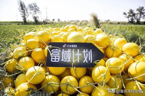 抖音陇南吃瓜,抖音带你领略地道美食风情