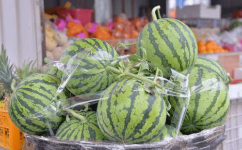 吃瓜群众坏老头,网络红人的崛起与争议