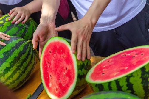 吃瓜椰子wagas,吃瓜椰子背后的健康生活新潮流